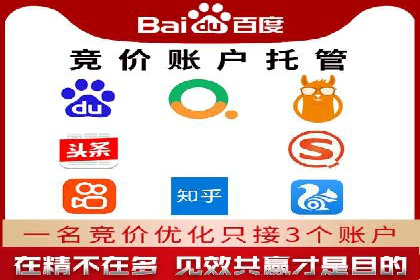 某知名企业SEM营销全案解析